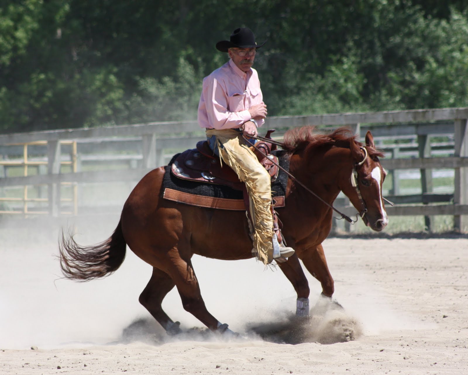 Thimbles, Bobbins, Paper and Ink Western Reining Competition The