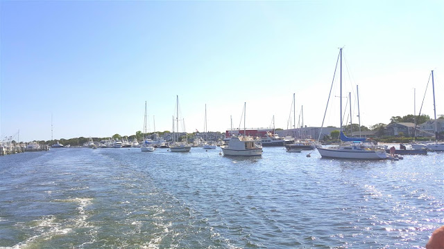 Mami Eggroll 4th Of July Beach Weekend In Martha S Vineyard