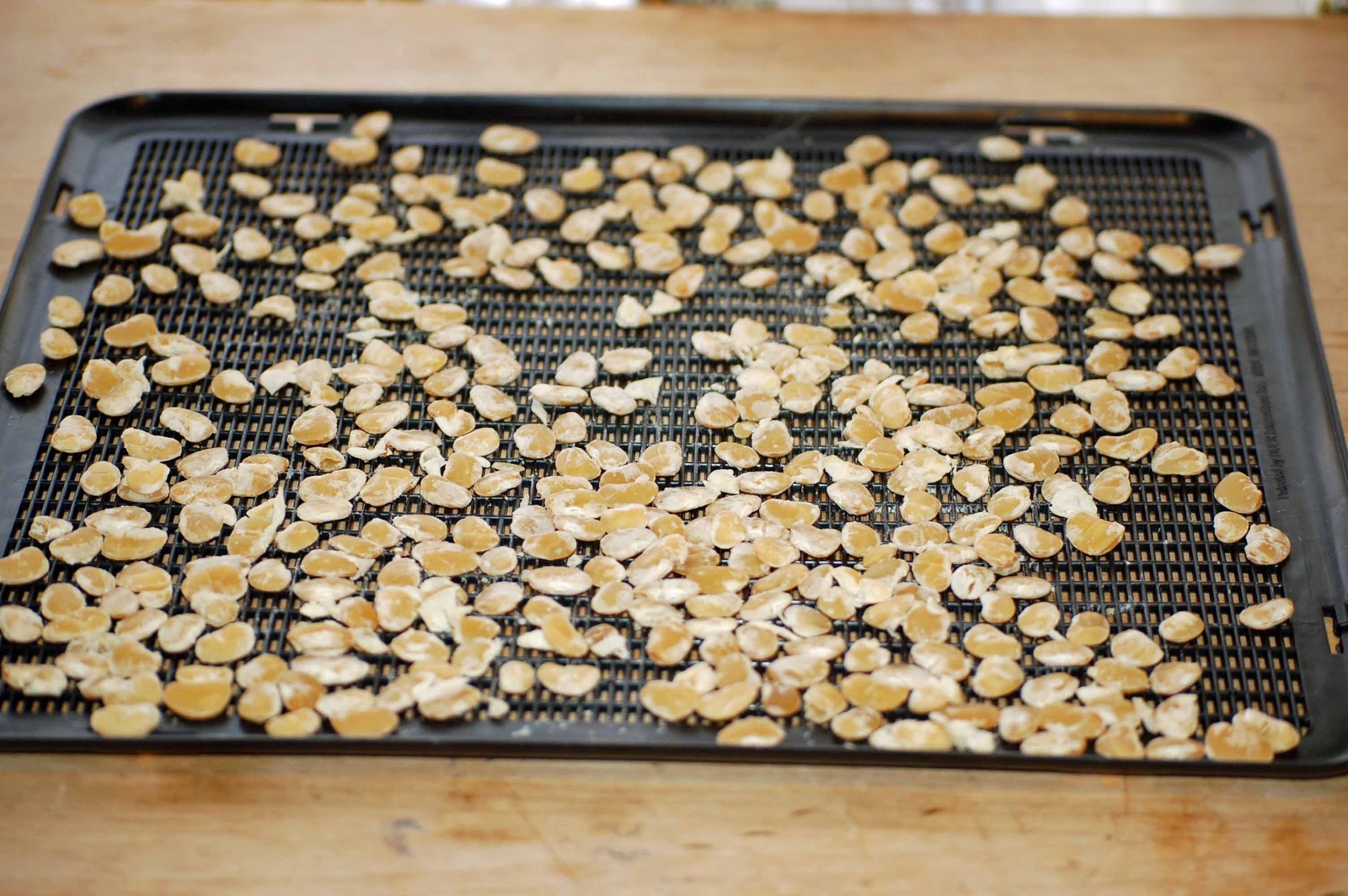 Dehydrating Way Beyond Jerky Lima Beans? You Dehydrated Lima Beans?