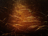 Sacdokulmesii Blogspot Com Kasim 2012