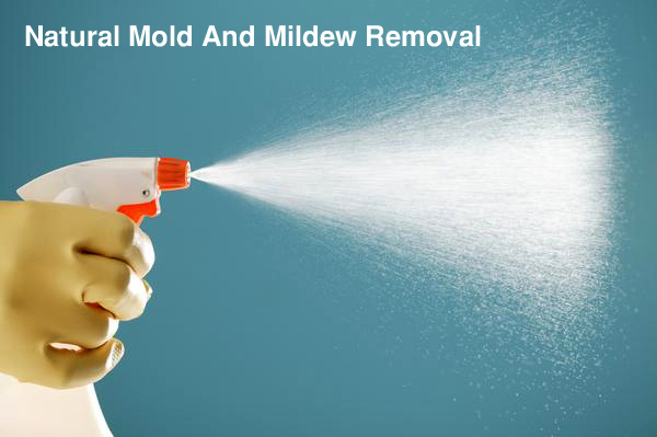 Homemade Natural Mold And Mildew Removal | Green Homemade Cleaners