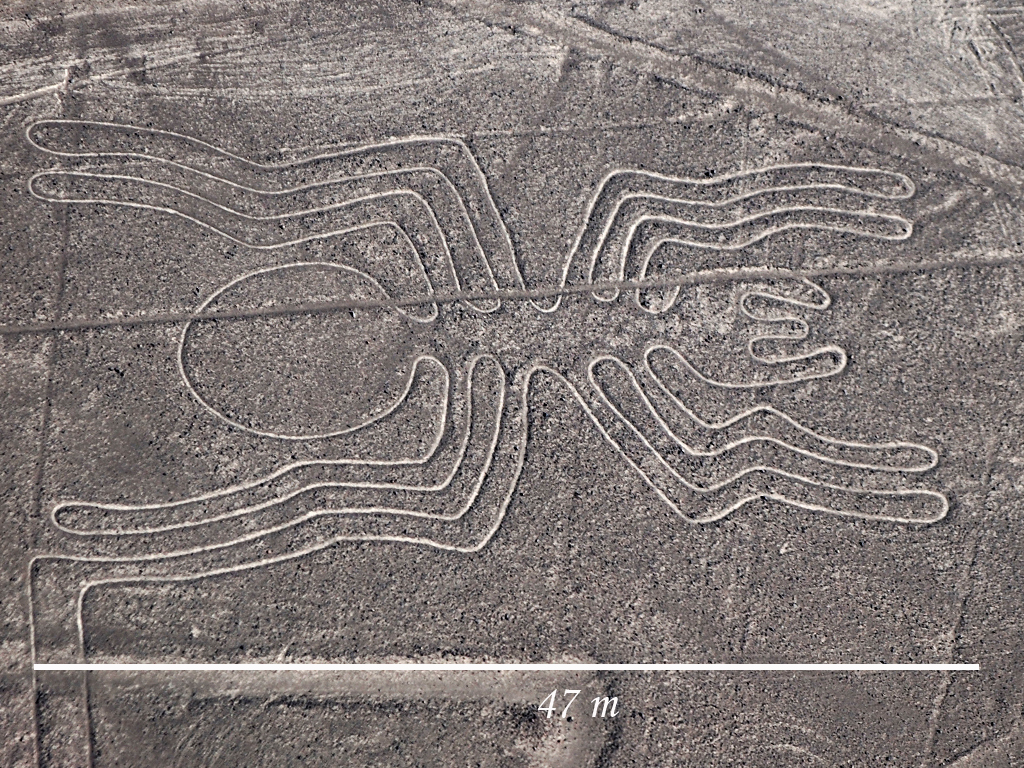 Lines Are Used In Art To Indicate : Art of ancient earth how nazca line created