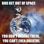 Obligatory Meme