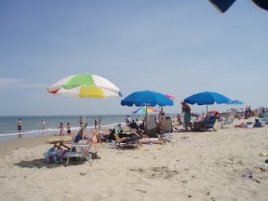 Beach Umbrellas