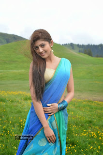 Pranitha-New-Saree-Photos