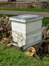 Bee Keeping