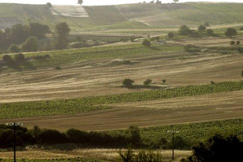 Παραχώρηση 17.000 στρεμμάτων με ευνοϊκούς όρους σε αγρότες