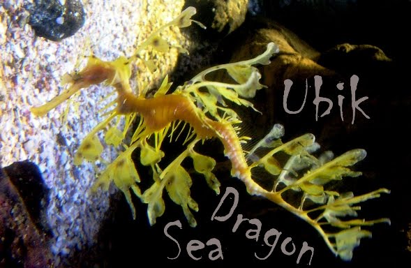 SeaDragon