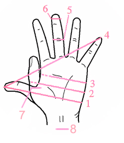hand measurements