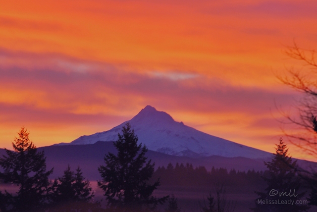 Mt. Hood Sunrise