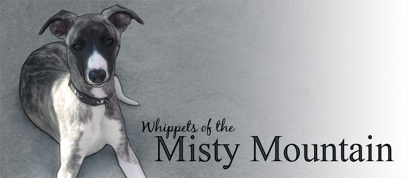 Whippets of the Misty Mountain