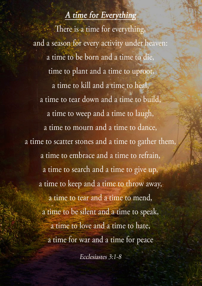 The Hengs Family A time for everything