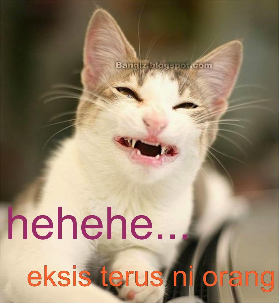 87+ Gambar Lucu Hewan Lagi Ngopi Kekinian 87+ Gambar Lucu Hewan Lagi Ngopi Kekinian