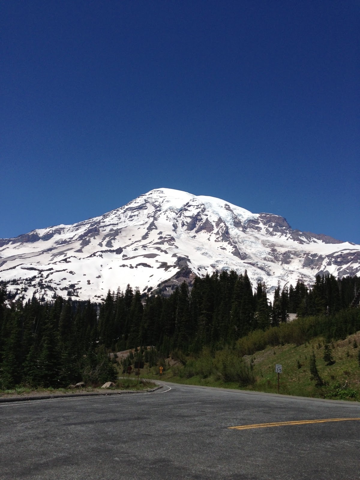 The Perfect View Mount Rainier angloyankophile