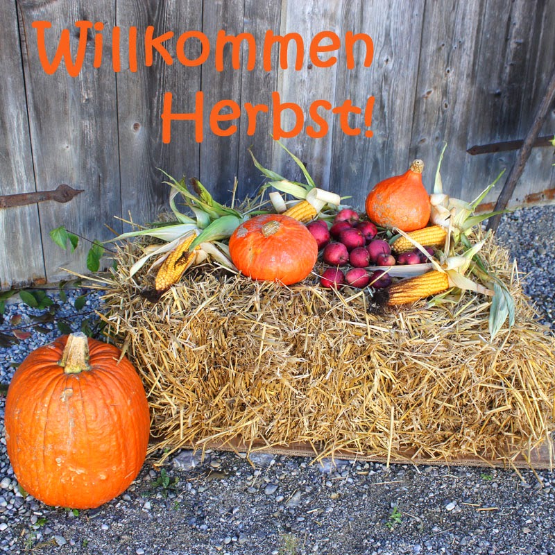 Elte 2 Dorfkonferenz