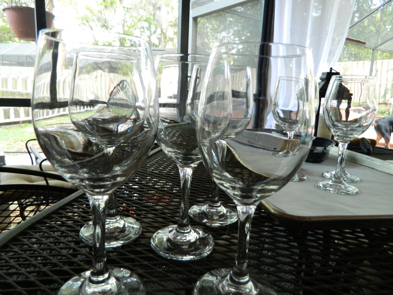 Life After Empty Nest Chalkboard Wine Glasses