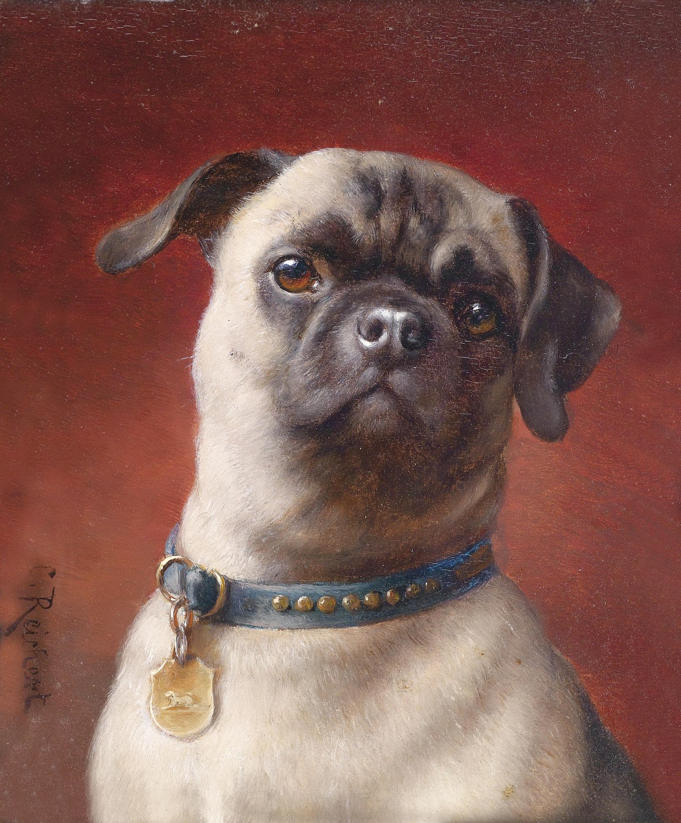 PUG A HISTÓRIA DA RAÇA  Pug