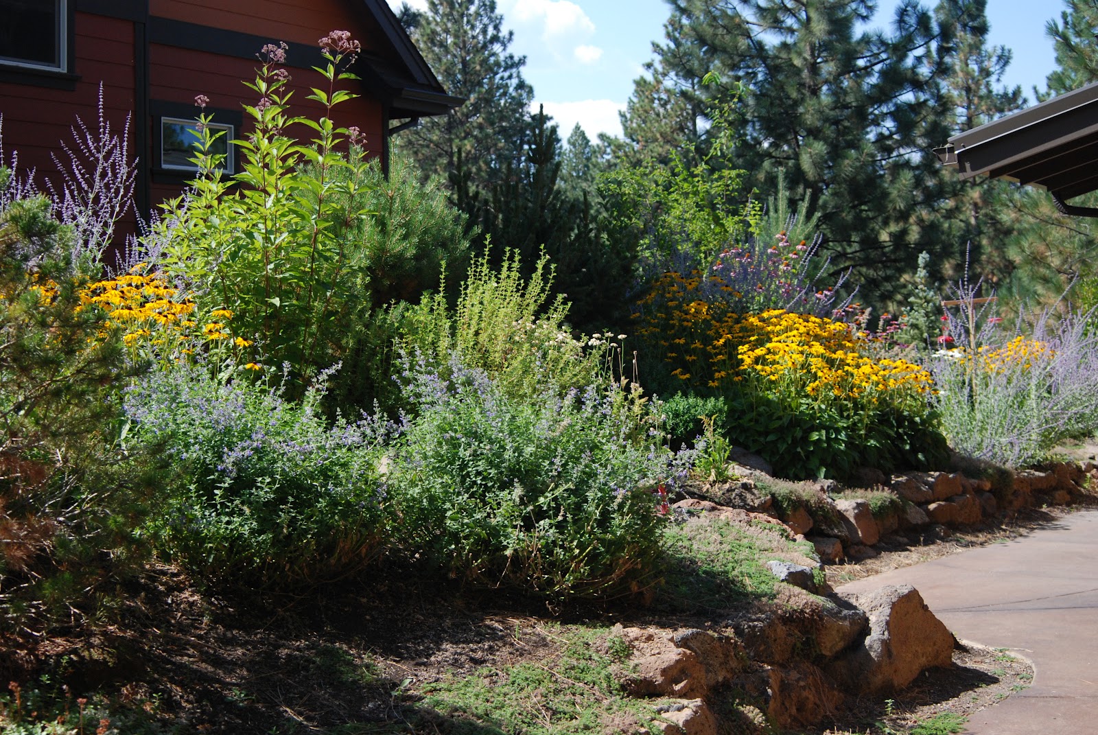 Carlseng Designs: Front Yards and Sidewalk Strips