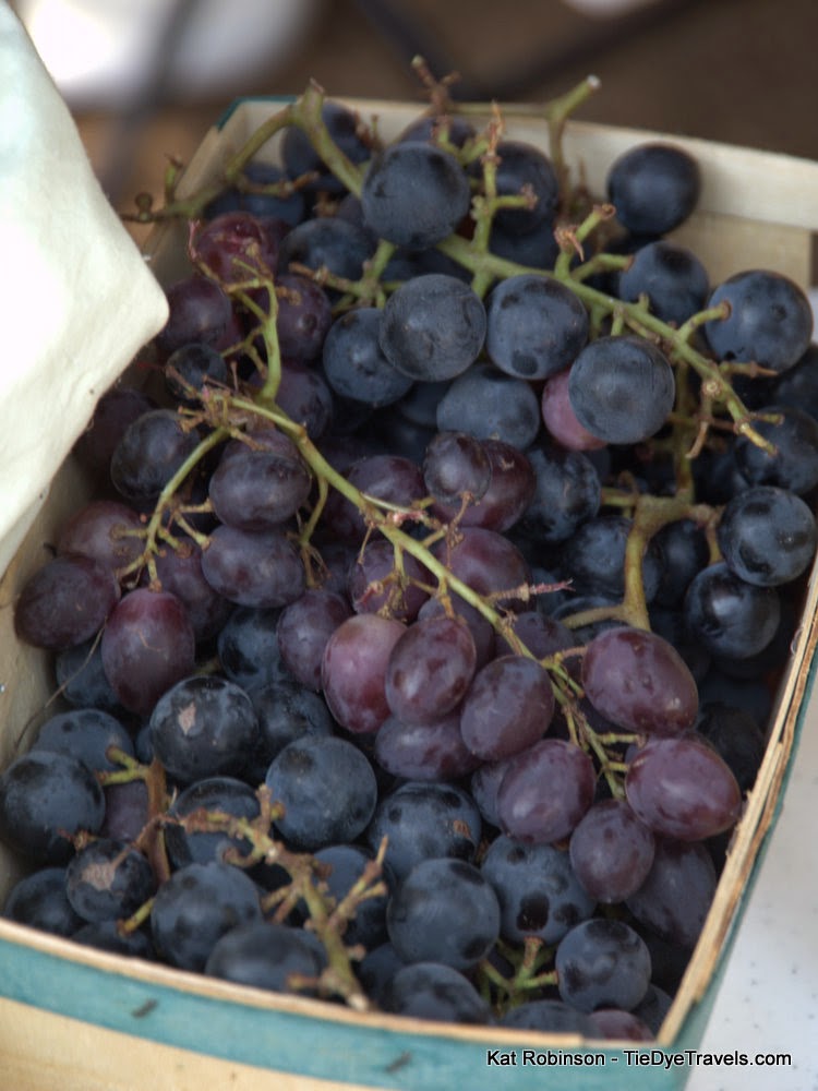 Petzenflieger 09 24 14