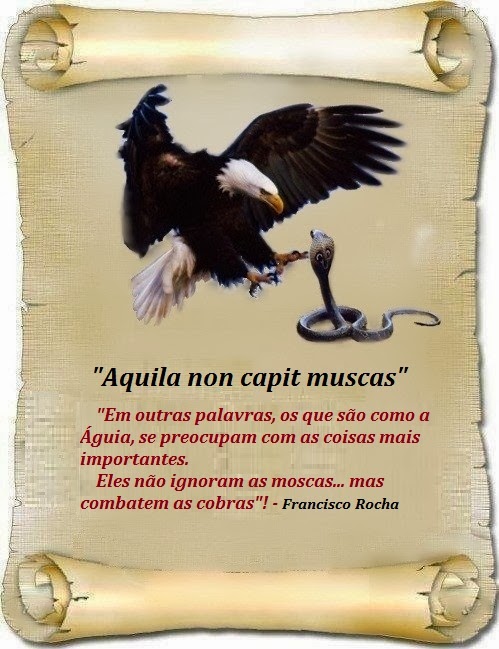 Suquinhodeurubuecia 2013