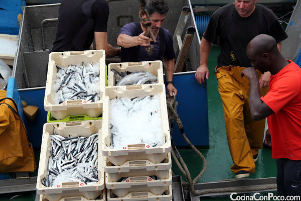 Antxua Eguna - Dia de la anchoa - Getaria - 2011 Antxua Eguna - Dia de la anchoa - Getaria - 2011