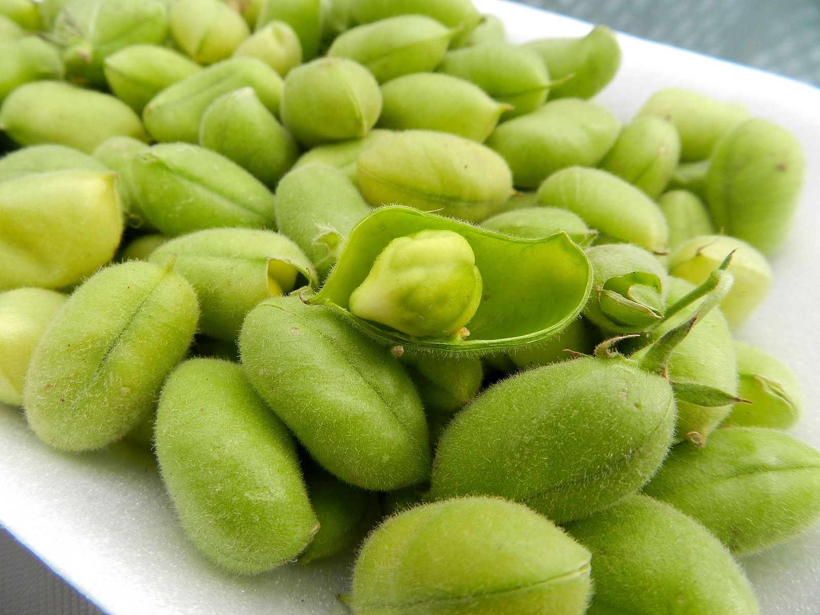 One Blog West Alien Ingredient 15 Fresh Green Chickpeas