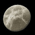 Il misterioso Dione