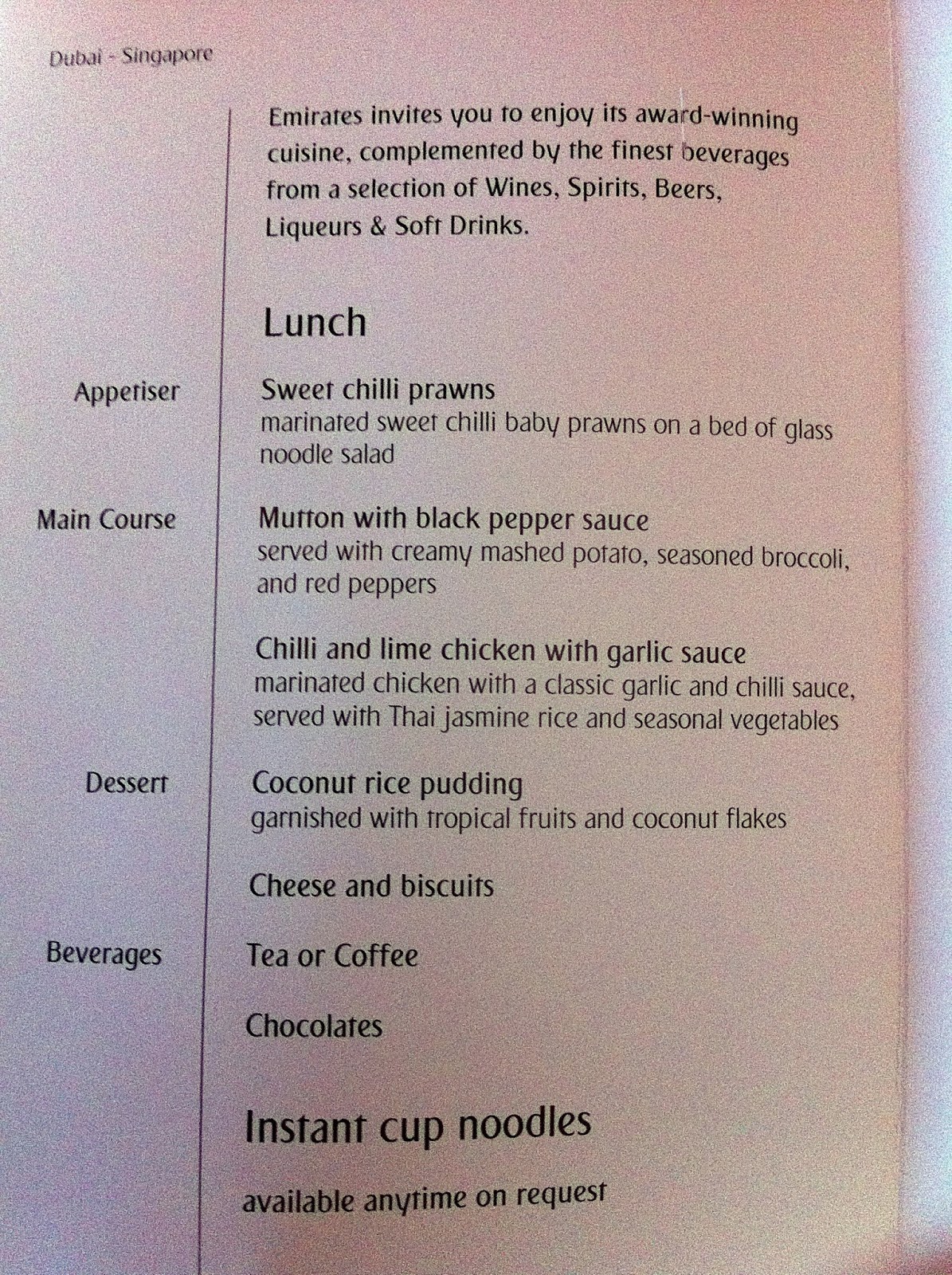 FoodieFC Lunch On Board Emirates Airlines From Dubai to Singapore