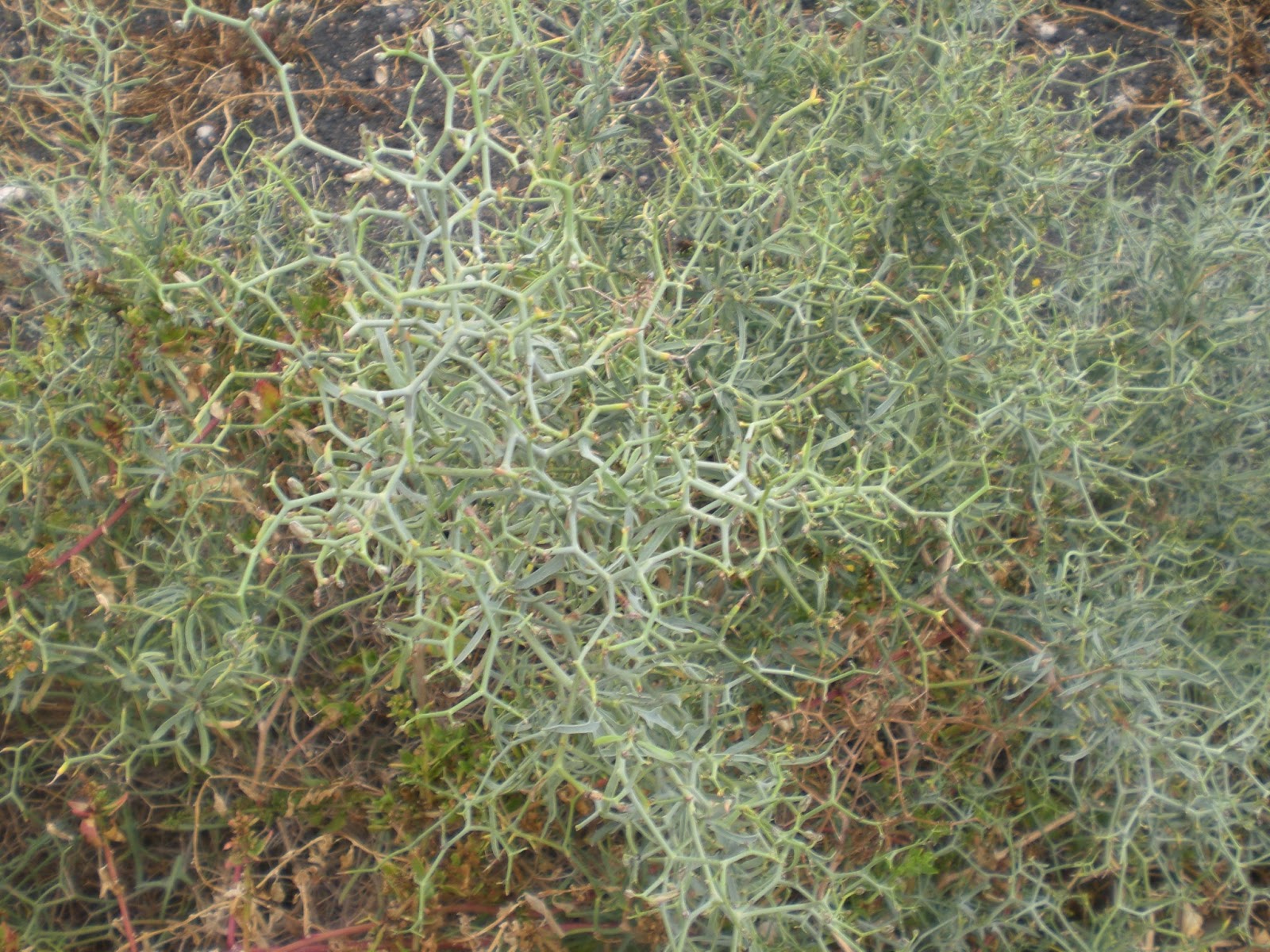 book handbook of econometrics 2001