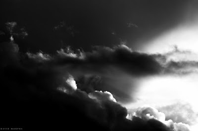 The Light © David Murphy 2012 all rights reserved