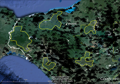 Archeology: Lowland Maya Settlement Patterns. Wendy Ashmore