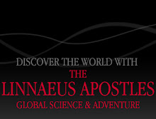 The Linnaeus Apostles
