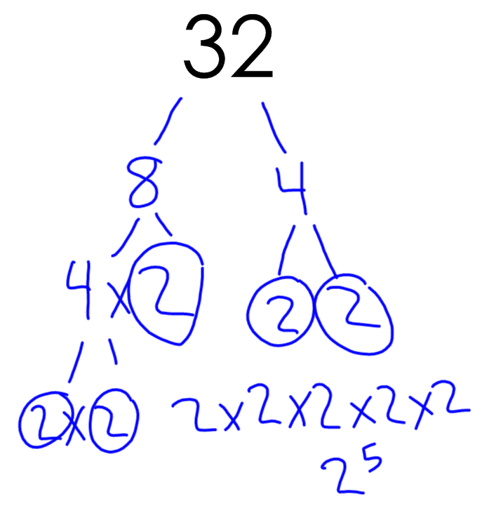 I need homework help with factors prime factors