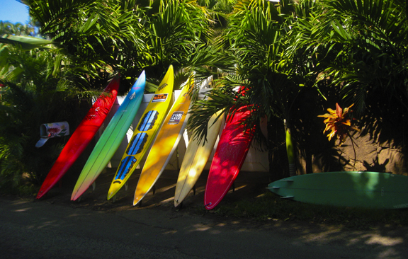 Surfboards for Sale along the Bikepath