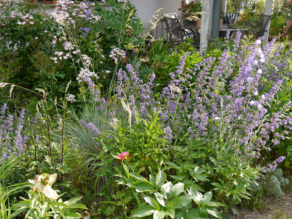 Garten Impressionen Eine Gartenmischung Aus Harmonie Und Dynamik