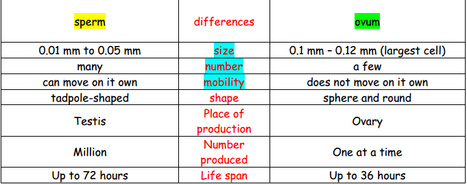 compare and contrast male and female The following is a list of 50 of these differencesperhaps if we're aware of them (“male and female differences in nonconscious mimicry: a. compare and contrast male and female The following is a list of 50 of these differencesperhaps if we're aware of them (“male and female differences in nonconscious mimicry: a.