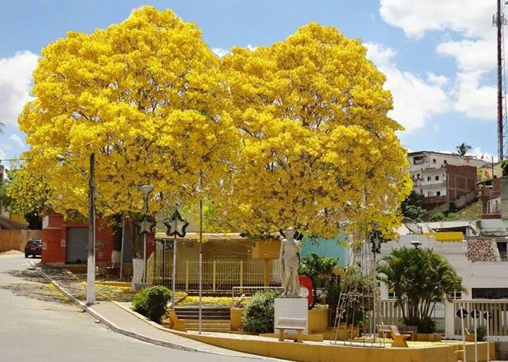 UM PEDACINHO DA MINHA CIDADE.