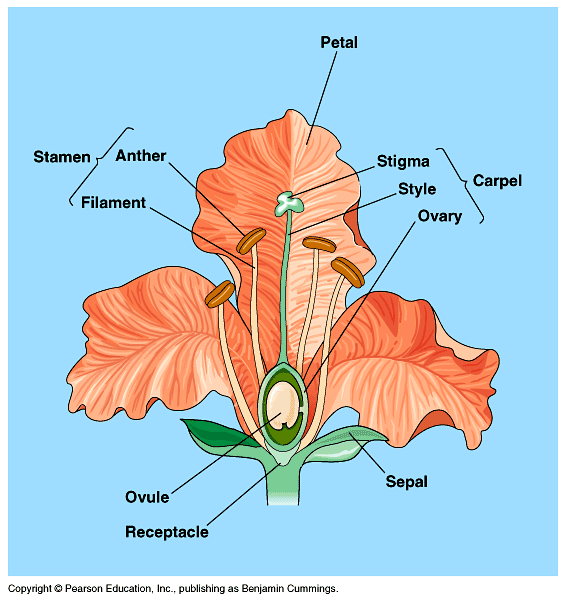 LeavingCertBiology Woo!