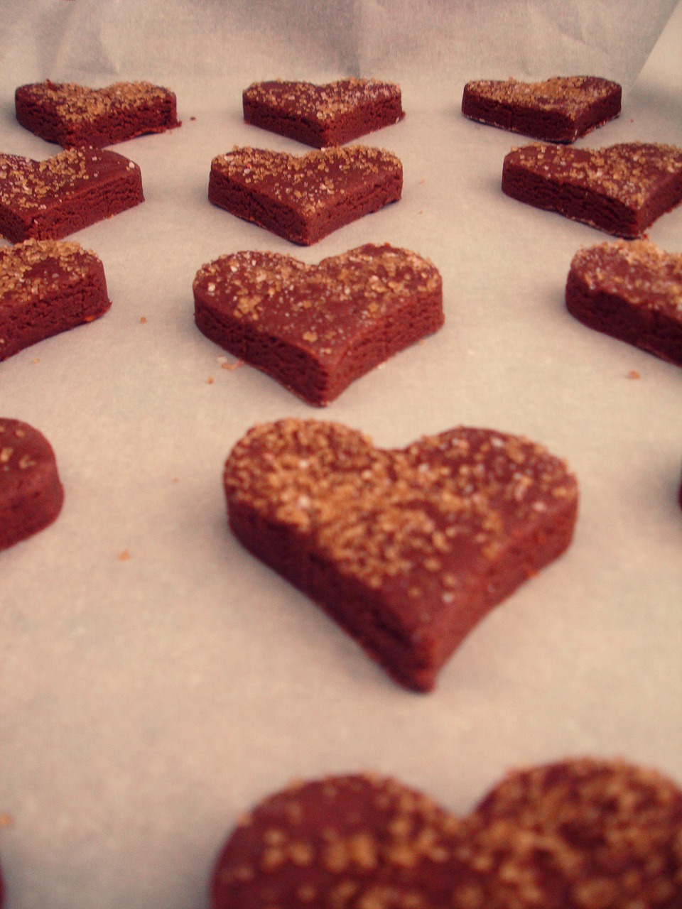 Salted Chocolate Cinnamon Shortbread make it give it