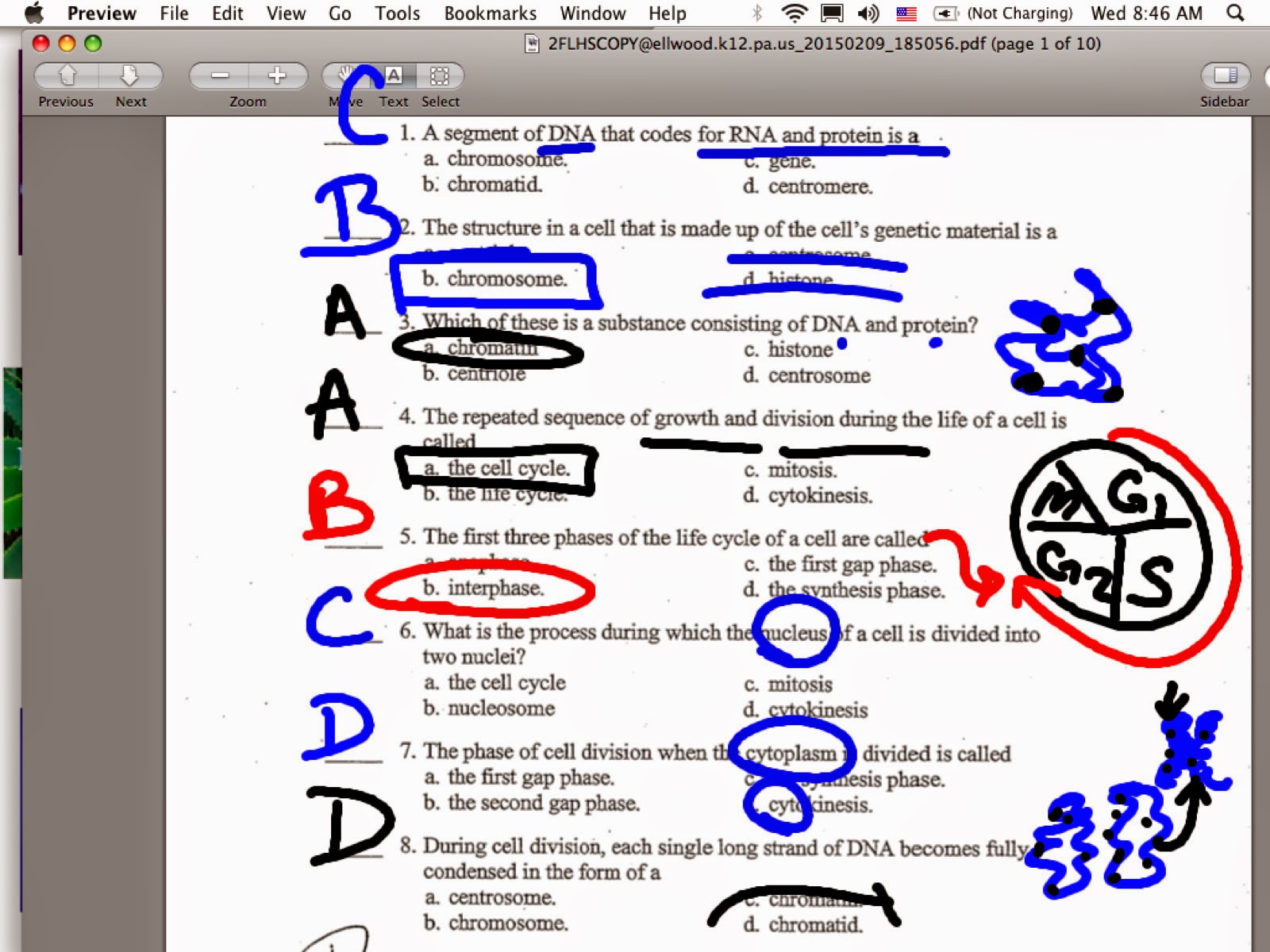 EC Honors Biology: Cell Cycle, Cell Division, DNA Replication Exam