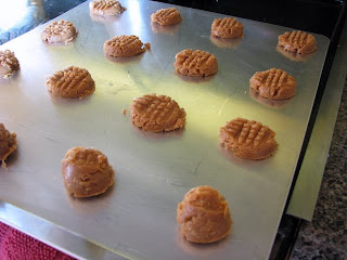 low carb peanut butter cookie recipe