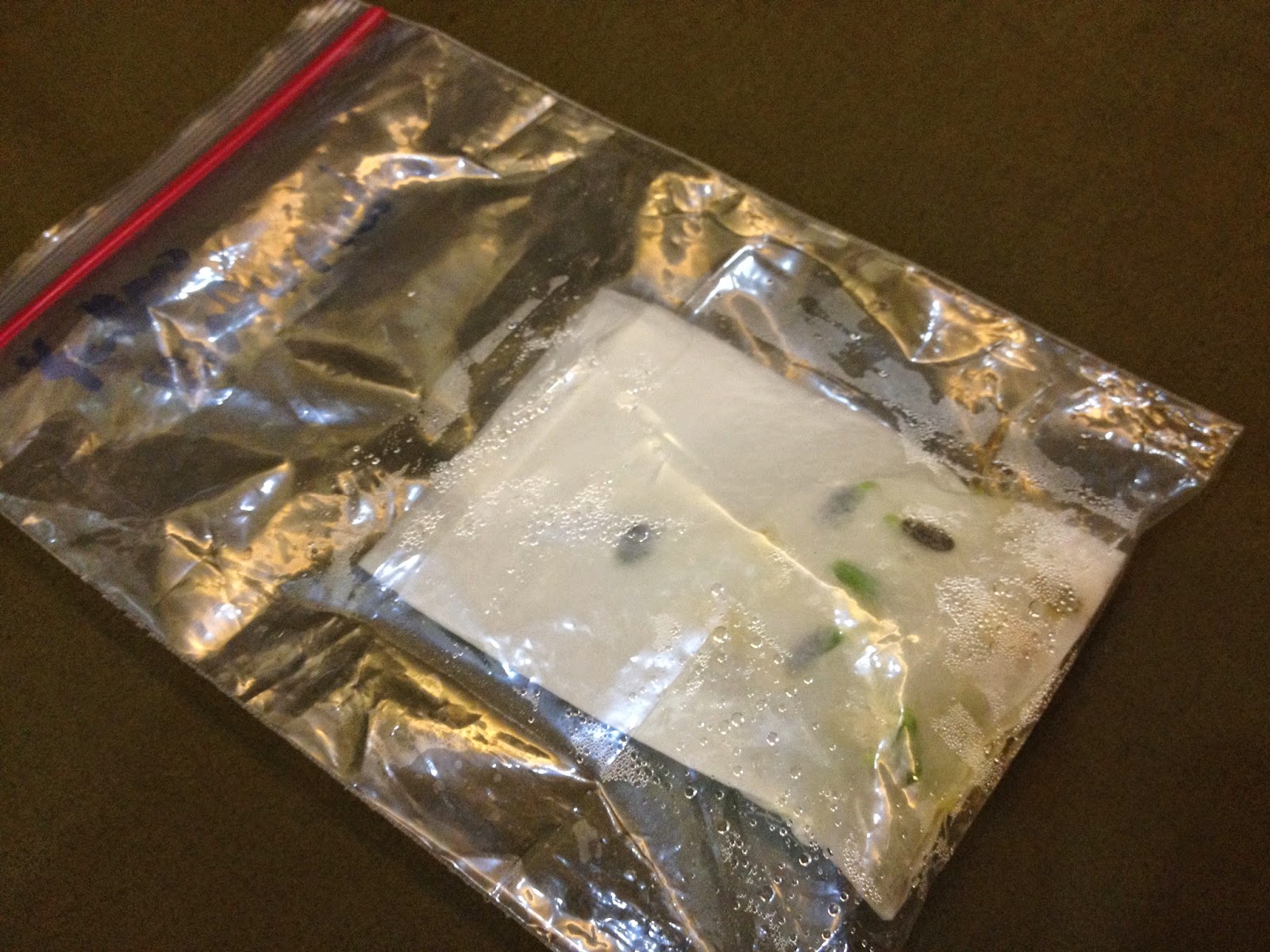 City Gardening 101 How to Germinate Seeds using Paper Towel Technique