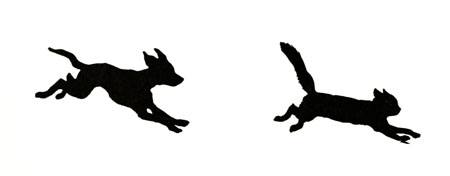Cat Chasing Dog Screaming Cat Chasing Dog Screaming