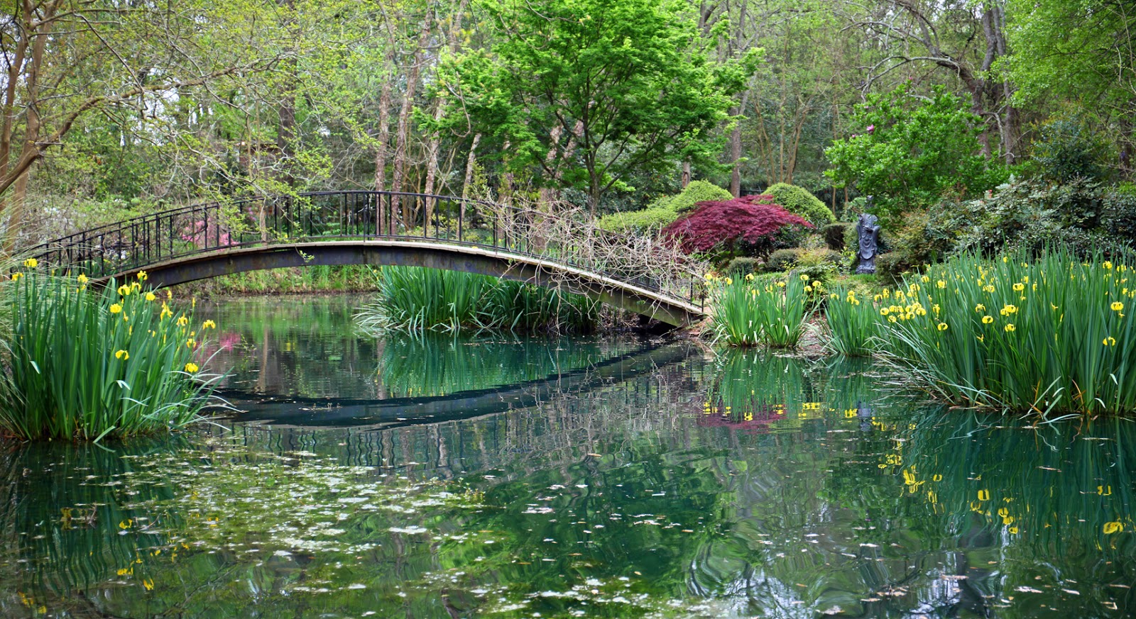 Southern Lagniappe Mynelle Gardens Revisited Part 2