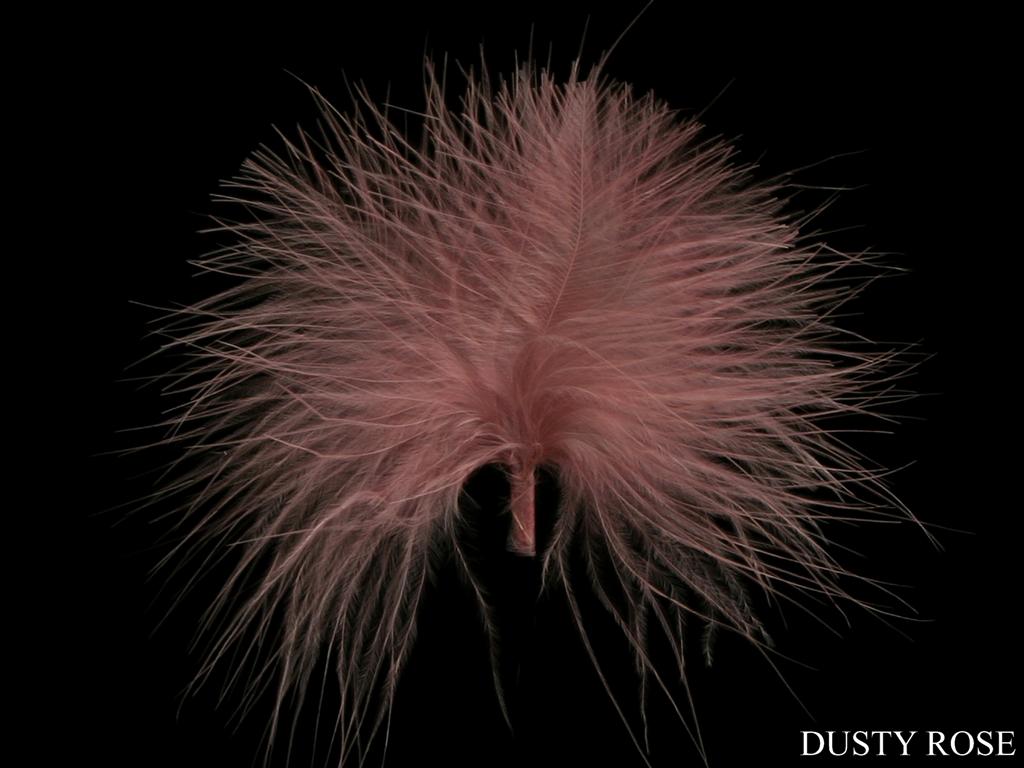 Online Birds Feathers In UK