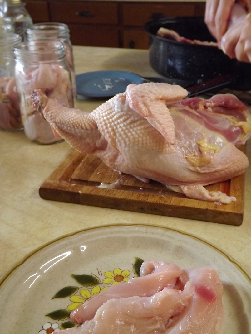Frugal Home and Health How to pressure can chicken with bone