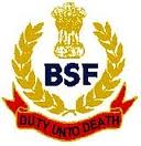 BSF logo at www.freenokrinews.com