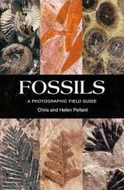 Fossils a Photographic Field Guide - Cover image Fossils a Photographic Field Guide - Cover image
