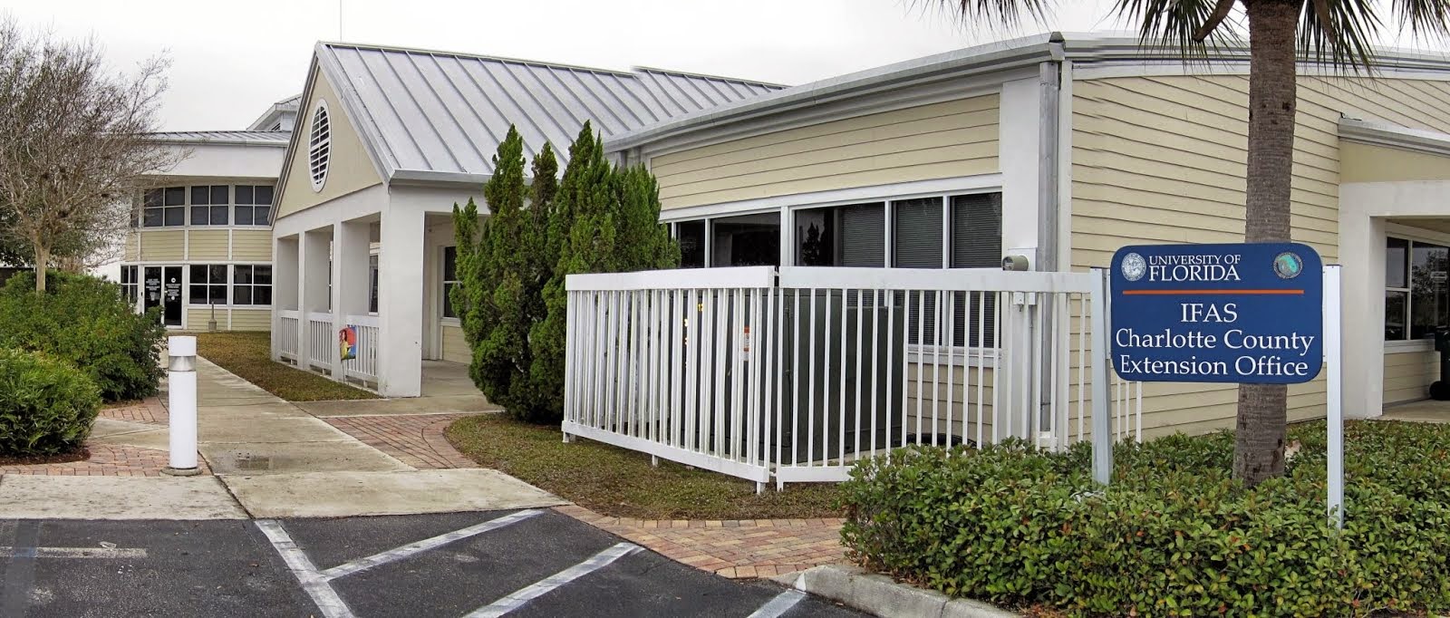 University of Florida/IFAS Charlotte County Extension Canna I grow it?