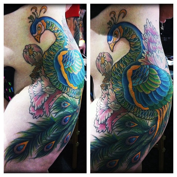 griffe tattoo pavÃo tattoo